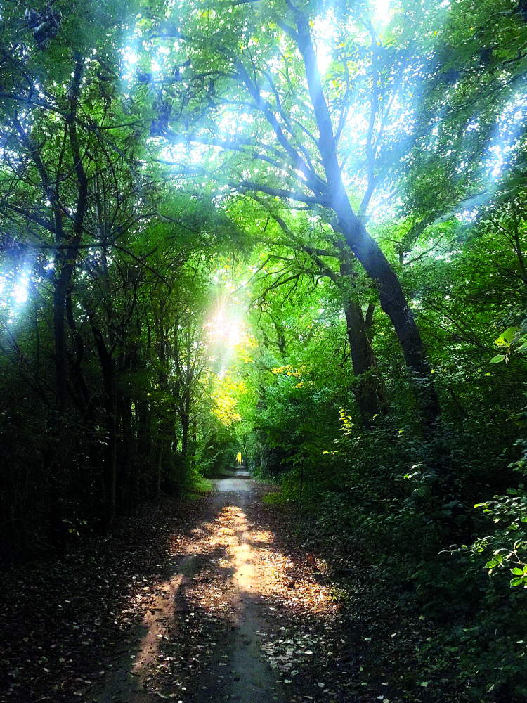AUSSTELLUNG IN HALLE